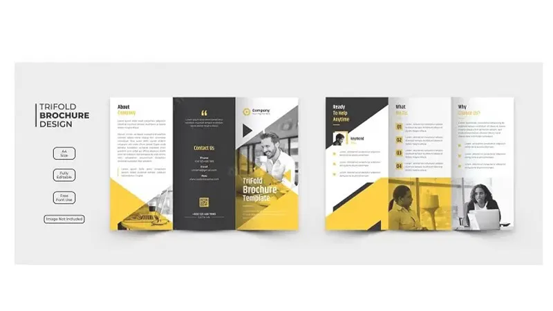 بروشور های تبلیغاتی بروشور های تبلیغاتی