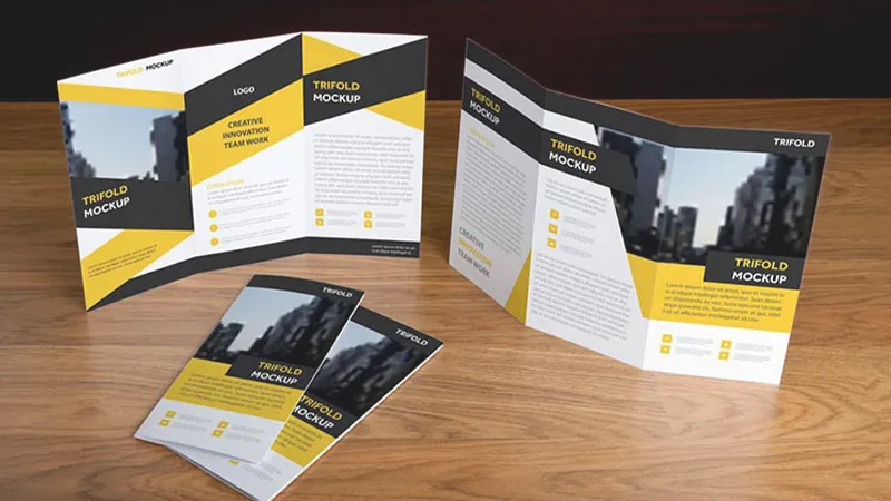 بروشور تای فرانسوی بروشور تای فرانسوی